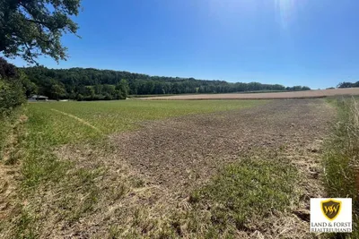 Grundstück kaufen in Eferding – 700 m², € 249 – Bild 3 von 3