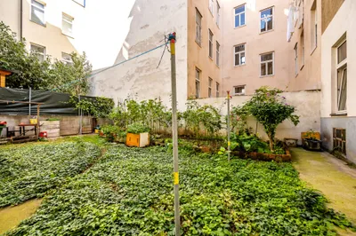 3-Zimmer-Wohnung kaufen in Wien – 60,63 m², € 179.000 – Bild 11 von 17