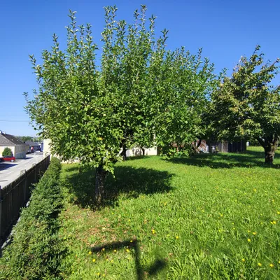 Haus kaufen in Perg – 150 m², € 274.980 – Bild 26 von 47