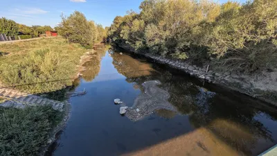 Grundstück kaufen in Neusiedl am See – 1 831 m², € 149.000 – Bild 4 von 5