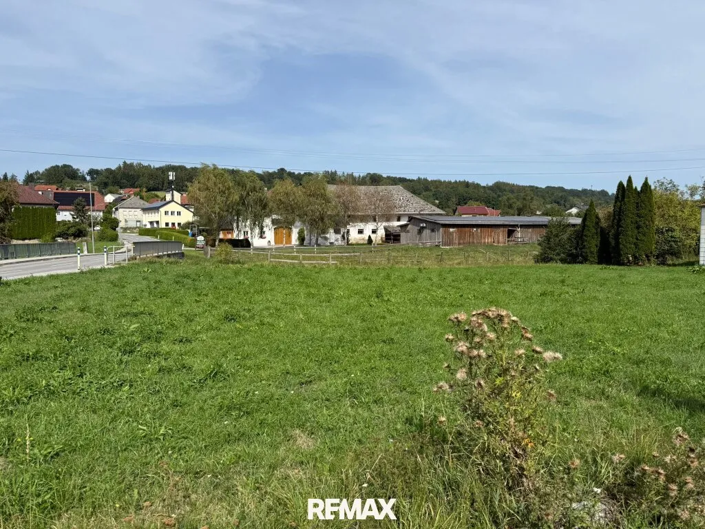 Großzügiges Baugrundstück ohne Bauzwang in St. Marienkirchen an der Polsenz!