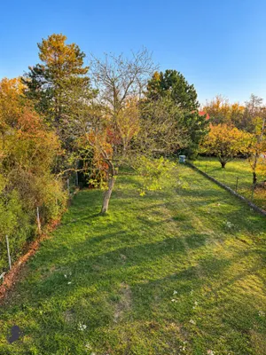 6-Zimmer-Haus kaufen in Gänserndorf – 126 m², € 629.000 – Bild 2 von 24