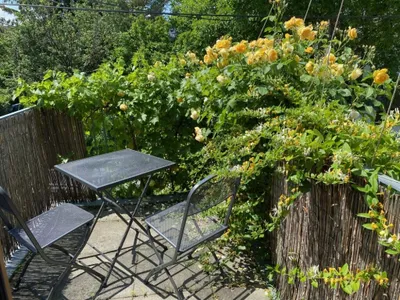 2-Zimmer-Wohnung mieten in Wien – 50 m², € 1.210 – Bild 5 von 15