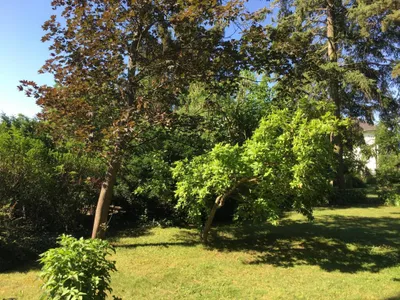 6-Zimmer-Haus kaufen in Gänserndorf – 90 m², € 450.000 – Bild 6 von 27