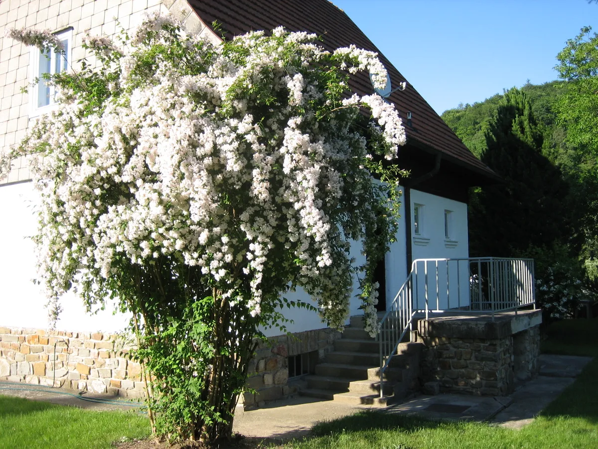 Haus – Pyhra, Katastralgemeinde Heuberg - Ansicht 3
