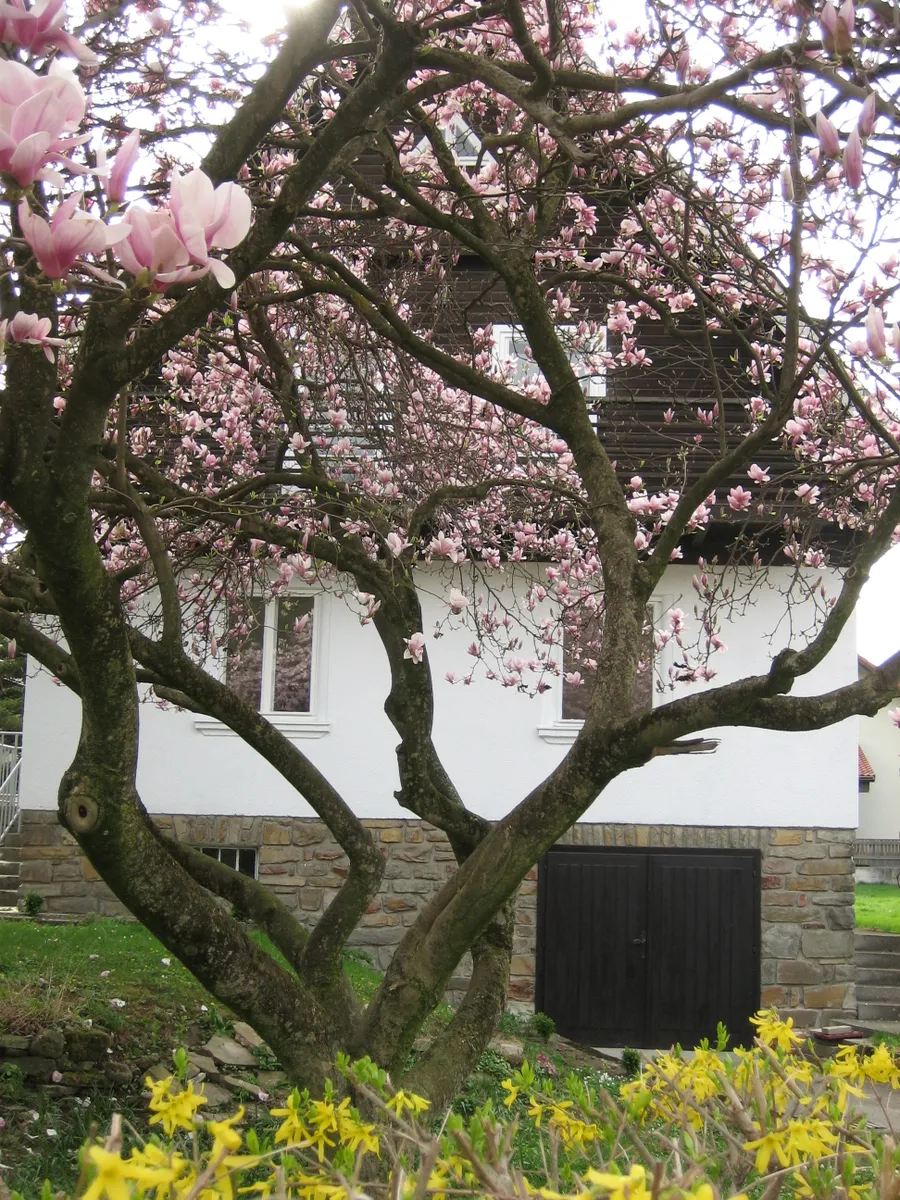 Haus – Pyhra, Katastralgemeinde Heuberg - Ansicht 2