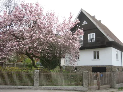 5-Zimmer-Haus mieten in Sankt Pölten Land – 117 m², € 1.500 – Bild 1 von 9