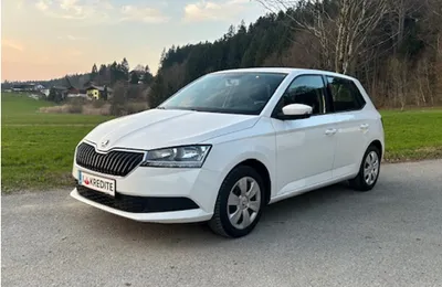 Skoda Fabia 1,0 mit 8-fach Bereifung und möglicher SO...