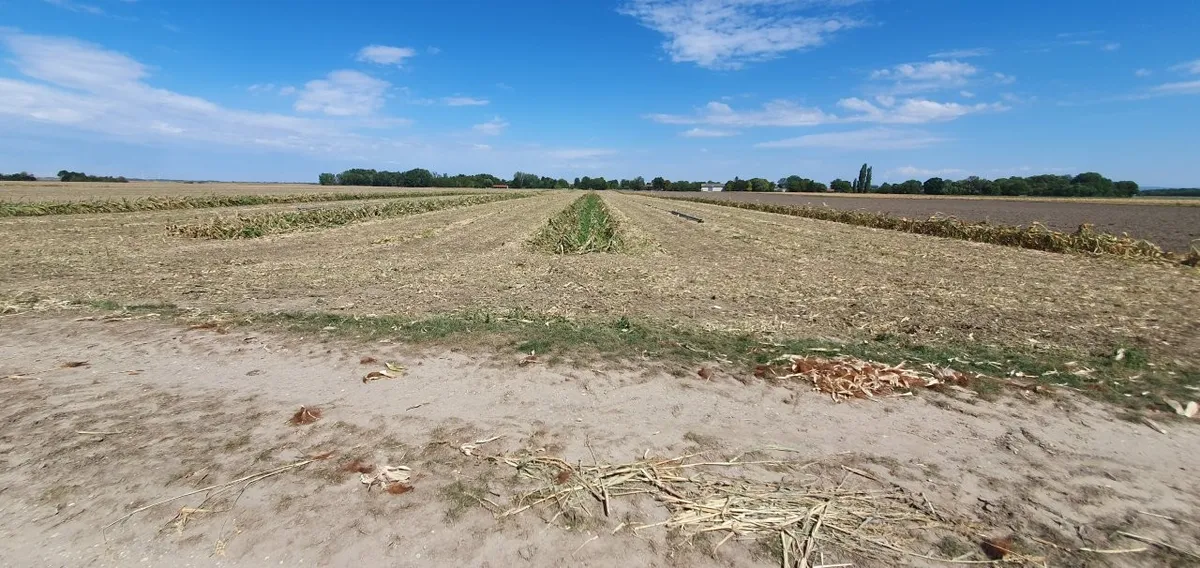 Marchfeld - Äckerverkauf / KG Pframa (Gemeinde Eckartsau) ! - Ansicht 2