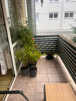 1-Zimmer-Wohnung mieten in Wels-Land – 33 m², € 495 – Bild 8 von 11