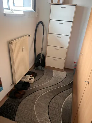 1-Zimmer-Wohnung mieten in Wels-Land – 33 m², € 495 – Bild 11 von 11