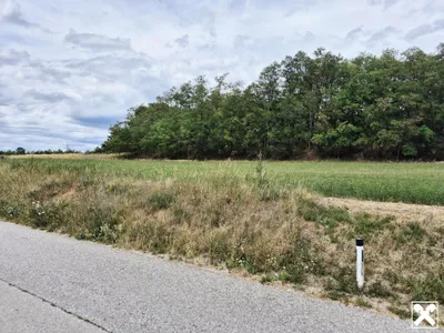 Immobilie mieten in Sankt Pölten Land – 9 472 m², € 1.250 – Bild 2 von 7
