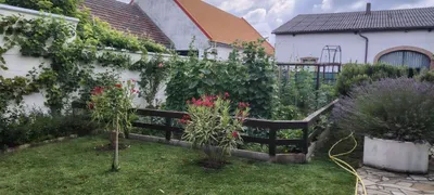 8-Zimmer-Gewerbeimmobilie kaufen in Neusiedl am See – 239 m², € 590.000 – Bild 7 von 34