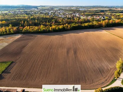 Immobilie kaufen in Wels-Land – 50 000 m², € 1.000.000 – Bild 3 von 5
