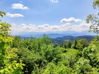 5-Zimmer-Haus kaufen in Klagenfurt Land – 212 m², € 550.000 – Bild 14 von 17
