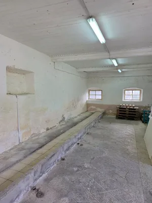 Immobilie mieten in Sankt Veit an der Glan – 52 m², € 390 – Bild 4 von 4