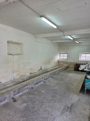 Immobilie mieten in Sankt Veit an der Glan – 52 m², € 390 – Bild 2 von 4