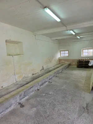 Immobilie mieten in Sankt Veit an der Glan – 52 m², € 390 – Bild 1 von 4