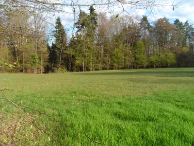 Grundstück kaufen in Graz-Umgebung – 12 290 m², € 172.060 – Bild 17 von 19