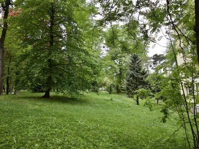 2-Zimmer-Wohnung kaufen in Wien – 90,64 m², € 489.000 – Bild 15 von 18