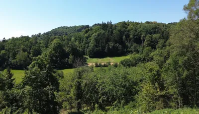 Immobilie kaufen in Leibnitz – 214 m², € 447.000 – Bild 9 von 11
