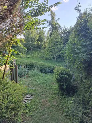 3-Zimmer-Wohnung kaufen in Steyr-Land – 55 m², € 22.000 – Bild 1 von 31
