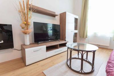 Wohnen auf Zeit Nähe Klinik Floridsdorf, Siemens, etc. - furnished apartment close to Clinik Floridsdorf Siemens Company