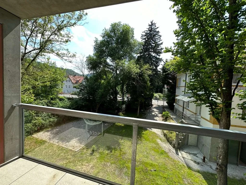Exklusive Parkwohnung im sicheren Kulturort Pitten | Barrierefrei | 2 Badezimmer - Ansicht 2