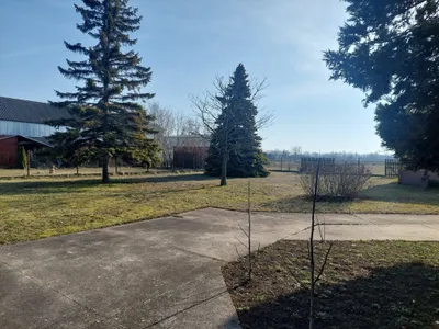 Haus kaufen in Neusiedl am See – 130 m², € 295.000 – Bild 22 von 22