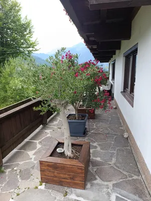 4-Zimmer-Wohnung mieten in Kufstein – 120 m², € 1.600 – Bild 26 von 32