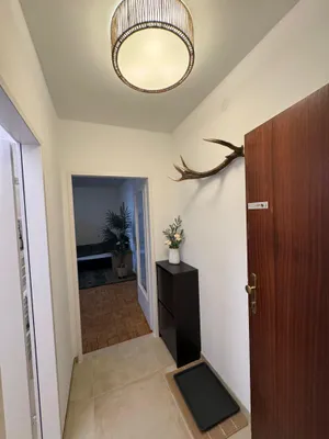 1-Zimmer-Wohnung mieten in Salzburg Stadt – 30 m², € 1.090 – Bild 4 von 7