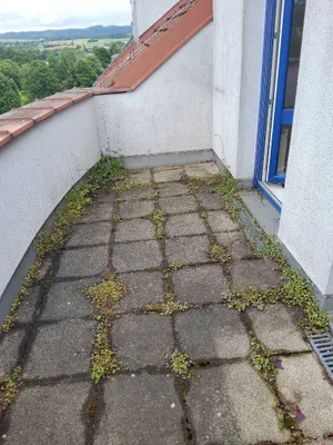 3-Zimmer-Wohnung mieten in Waidhofen an der Thaya – 74 m², € 743 – Bild 3 von 12