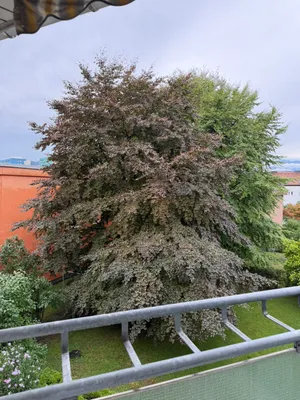 2-Zimmer-Wohnung mieten in Innsbruck – 54 m², € 1.280 – Bild 10 von 13