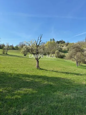 5-Zimmer-Immobilie kaufen in Lilienfeld – 120 m², € 650.000 – Bild 3 von 8
