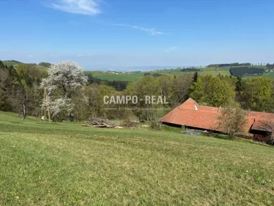 5-Zimmer-Immobilie kaufen in Lilienfeld – 120 m², € 650.000 – Bild 7 von 8