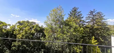 2-Zimmer-Wohnung mieten in Baden – 59 m², € 980 – Bild 5 von 6