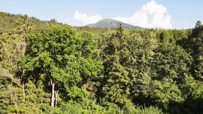 Grundstück kaufen in Innsbruck-Land – 793 m², € 339.000 – Bild 4 von 12