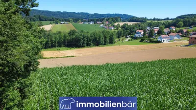 Grundstück kaufen in Schärding – 1 239 m², € 54.271