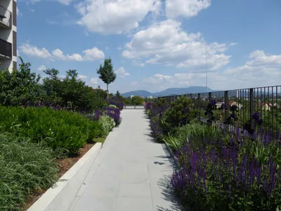 2-Zimmer-Wohnung mieten in Graz – 35 m², € 610 – Bild 6 von 22