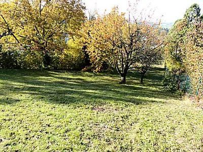 Grundstück kaufen in Sankt Pölten Land – 1 186 m², € 10.000