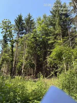 Grundstück kaufen in Güssing – 3 443 m², € 6.650 – Bild 3 von 5
