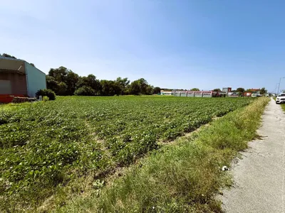 Immobilie kaufen in Oberwart – 5 045 m² – Bild 4 von 7