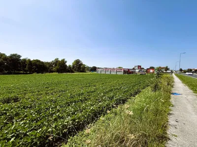 Immobilie kaufen in Oberwart – 5 045 m² – Bild 3 von 7