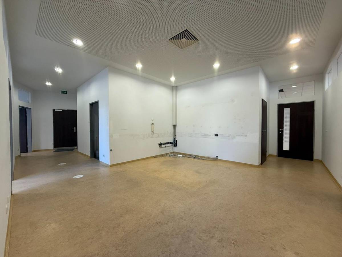 Vielseitige Geschäftsfläche in bester Lage - ideal für Büro, Praxis oder Dienstleistung - Ansicht 2