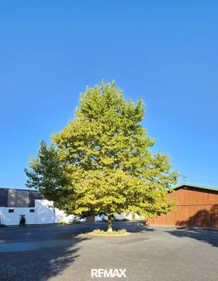 Immobilie kaufen in Güssing – 600 m², € 2.395.000 – Bild 22 von 50