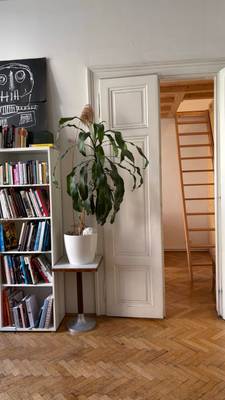 WG Zimmer + Arbeitsplatz im Altbau Loft, 1010 Schottentor