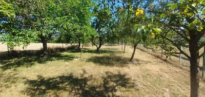 5-Zimmer-Haus kaufen in Hollabrunn – 126 m², € 289.000 – Bild 5 von 29