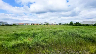 Immobilie kaufen in Gänserndorf – 12 496 m², € 1.399.000 – Bild 3 von 4