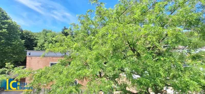 Wohnung kaufen in Sankt Pölten Land – 75,95 m², € 222.000 – Bild 10 von 33