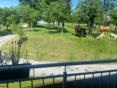 3-Zimmer-Wohnung mieten in Grieskirchen – 73 m², € 830 – Bild 2 von 8